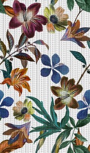 多彩花卉图案 精美植物绘