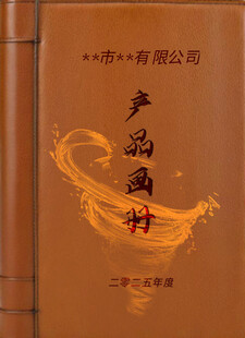 产品画册设计封面展示