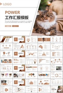 宠物行业医院美容宠物店ppt