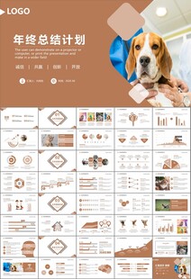 宠物行业医院美容宠物店ppt