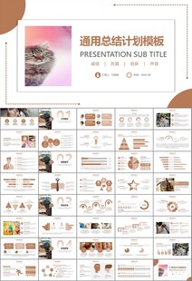 宠物行业医院美容宠物店ppt