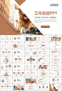 宠物行业医院美容宠物店ppt