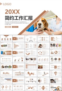 宠物行业医院美容宠物店ppt