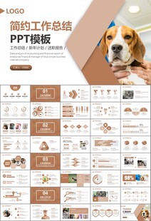宠物行业医院美容宠物店ppt