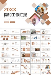 宠物行业医院美容宠物店ppt