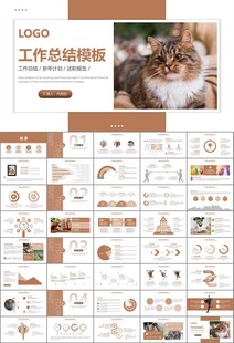 宠物行业医院美容宠物店ppt