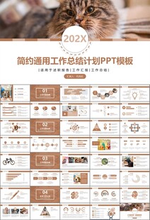 宠物行业医院美容宠物店ppt