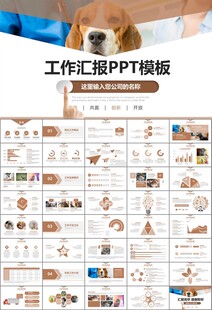 宠物行业医院美容宠物店ppt