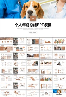 宠物行业医院美容宠物店ppt