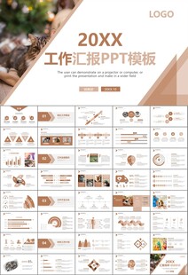 宠物行业医院美容宠物店ppt