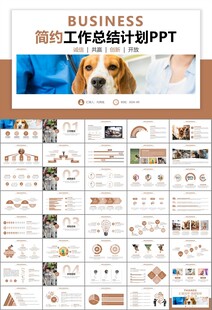 宠物行业医院美容宠物店ppt