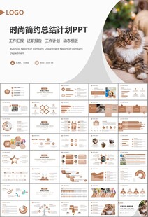 宠物行业医院美容宠物店ppt