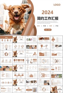 宠物行业医院美容宠物店ppt