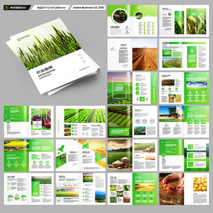 农产品宣传册