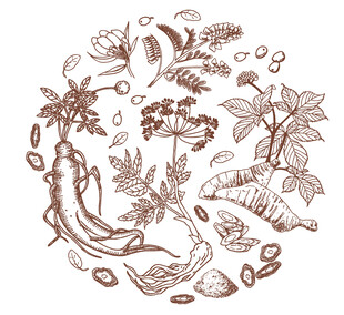 矢量手绘中药圆形底纹