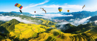 大气梯田风景画