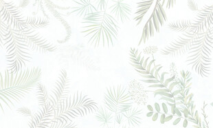 热带雨林绿植雾气模糊背景