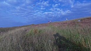 草原暮色下的广阔天地