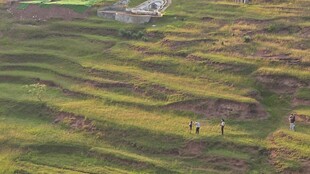 草原风光与远处建筑