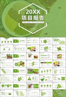 农产品生态农业农村电商ppt