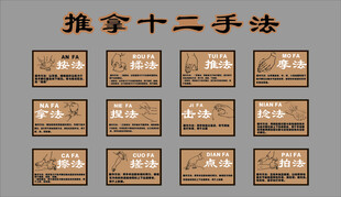 推拿十二手法展示图