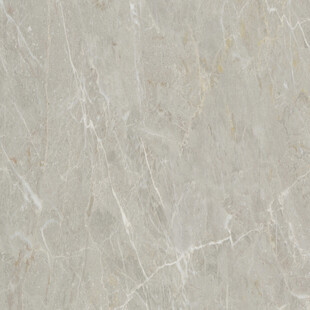 奢雅 新款清晰石纹 高档大图 