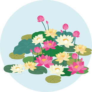 夏日荷塘荷花睡莲插画