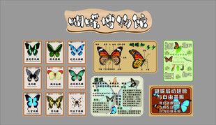 幼儿园昆虫主题墙贴环创成品标本