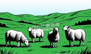 绵羊羊羔草原牧场