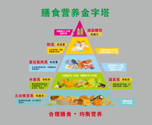 膳食金字塔