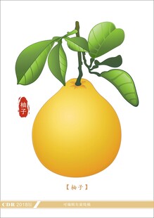 金黄饱满的新鲜柚子