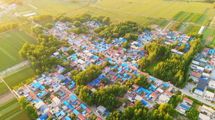 乡村振兴素材田野和美丽乡村