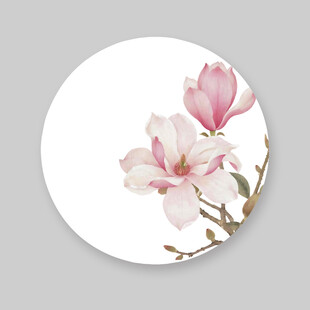 圆形粉色玉兰花装饰图