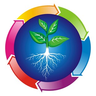 根部 矢循环生态