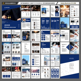 大气律师事务所画册