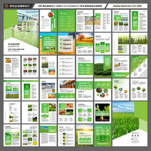 农产品画册