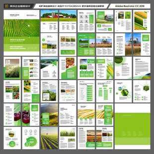 农产品宣传册