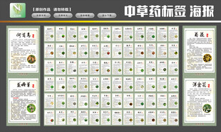 中医中药草药标签