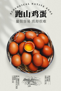 深山散养跑山鸡蛋