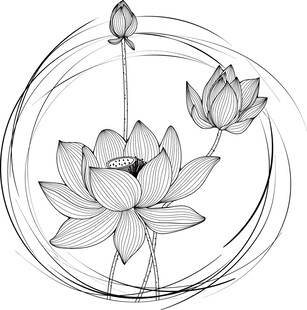 手绘禅意莲花线条插画 矢量图