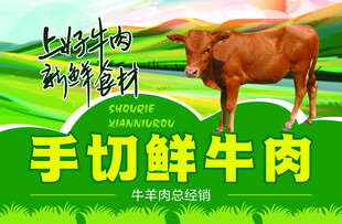 草原鲜牛肉