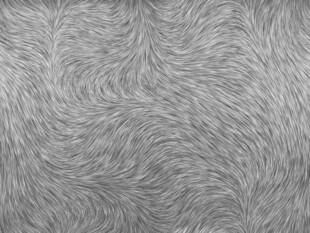 银灰色毛绒纹理背景