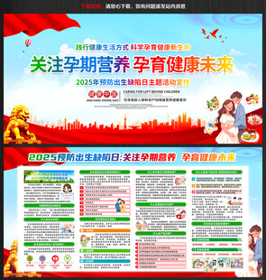 2025年预防出生缺陷日展板