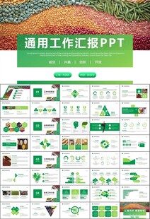 五谷杂粮健康饮食PPT