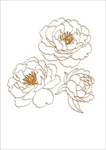 金色线条勾勒的牡丹花