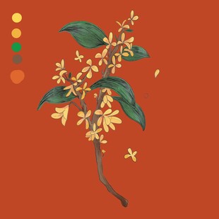 桂花插画