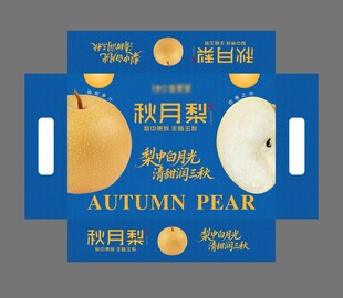 秋月梨包装设计展示