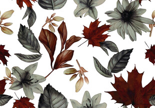 秋季花卉树叶图案背景