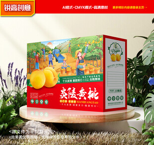 黄桃包装 桃子礼盒