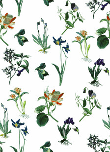 水彩花卉图案无缝背景